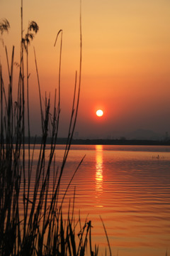 湖边夕阳