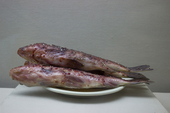 蜡制鱼