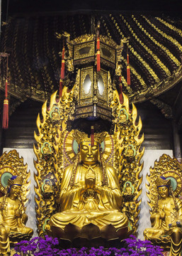 中国宗教文化寺庙佛主金身摄影