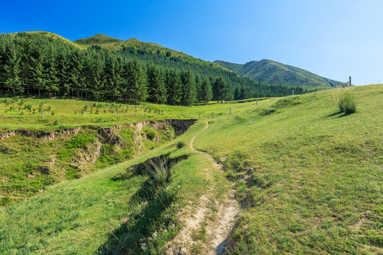山地景观