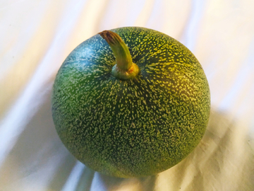 一个绿皮香瓜