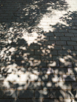 洒满阳光的地面