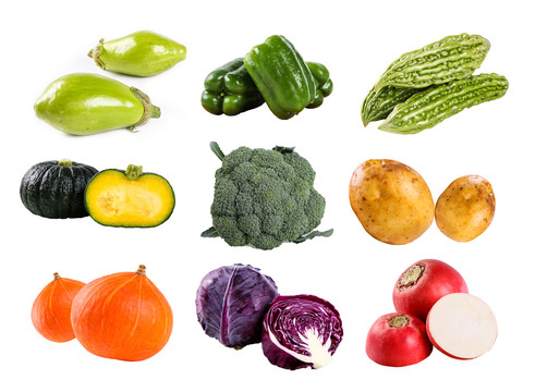 多种蔬菜青菜拍摄