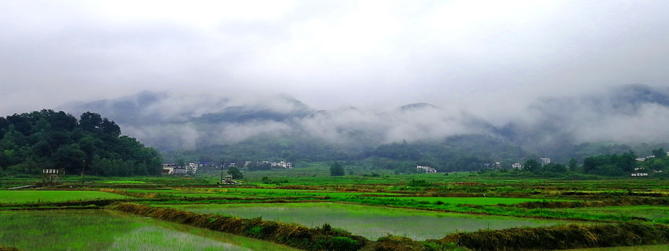 绿水青山就是金山银山