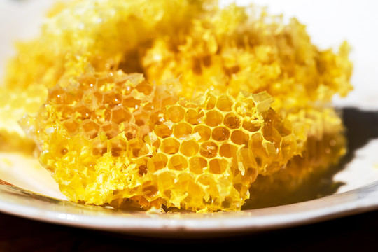 蜂蜜蜂巢特写