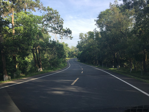 林间公路