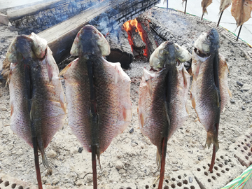新疆烤鱼