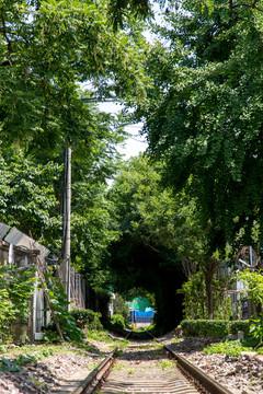 铁轨铁路火车道