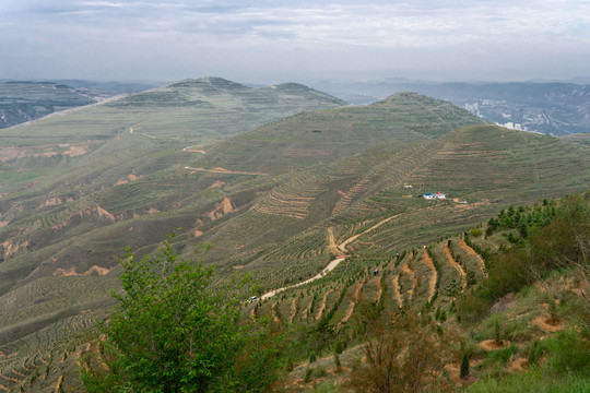 南山梯田
