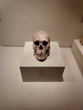 埃及文物面具骨髅头