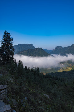 大山云雾