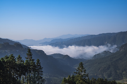 大山云雾
