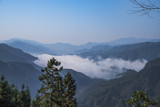 大山云雾