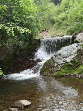 六盘山森林公园