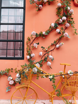 鲜花单车装饰艺术墙