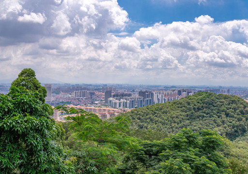 东莞市东城区