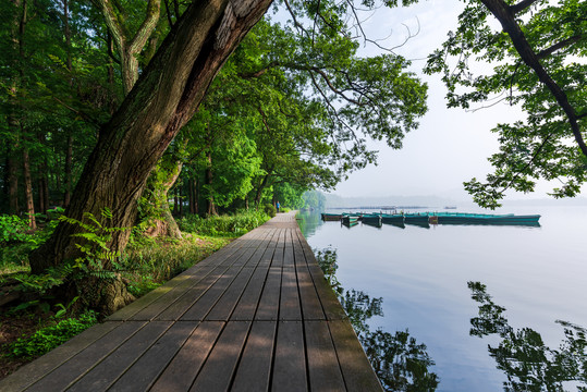 杭州西湖园林景观木板路