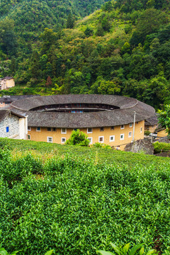 福建土楼