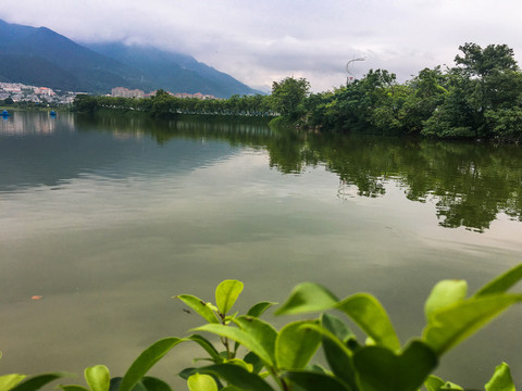 肇庆波海湖公园