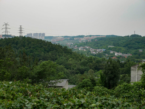 城郊风光