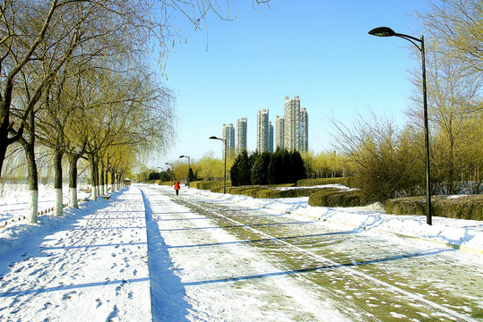 雪后城市