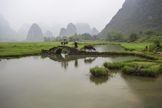 烟雨桂北农家忙4