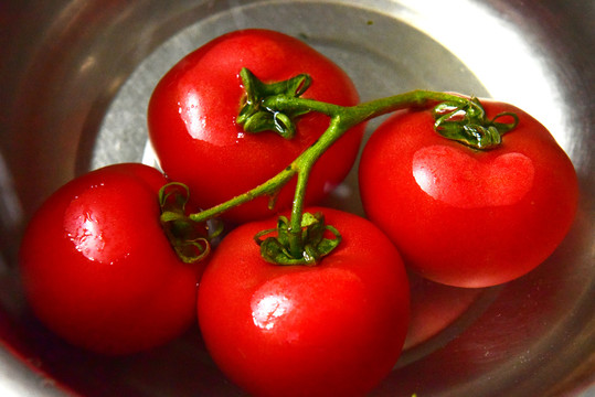 红柿子西红柿