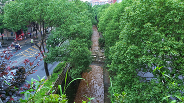 河道小挢