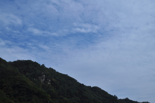 山