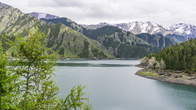 天山天池风光