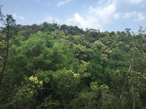 圭峰山美景