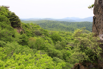 山顶