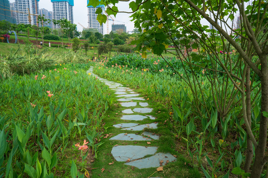 石头石板路乡间小路