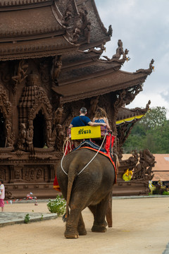 泰国真理寺景区内大象