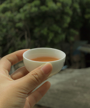 喝茶饮茶茶饮