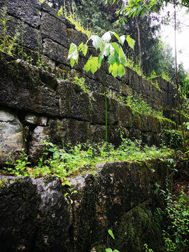 玛瑙山古防御墙