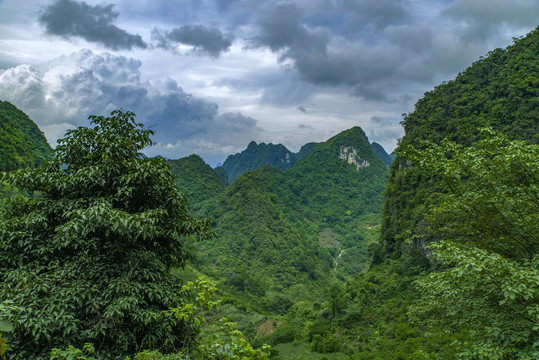 青山