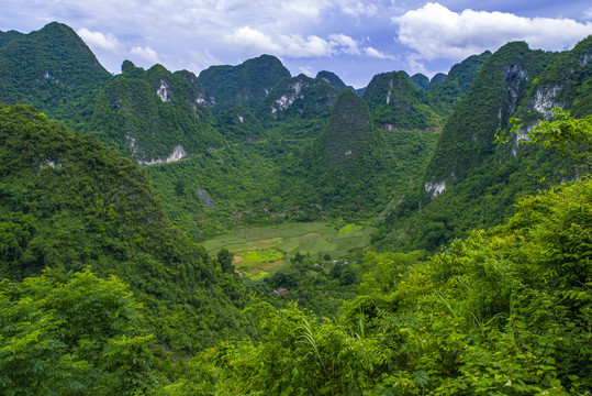 青山