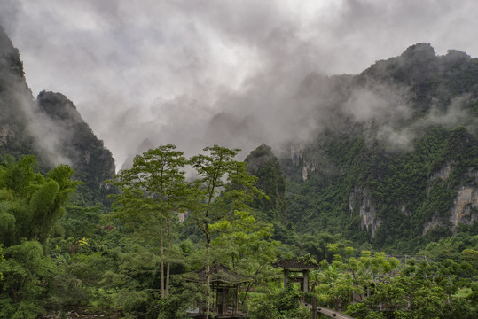 风景