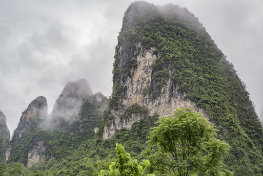 风景