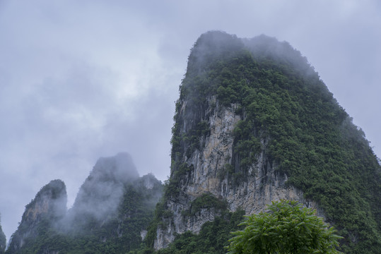 风景