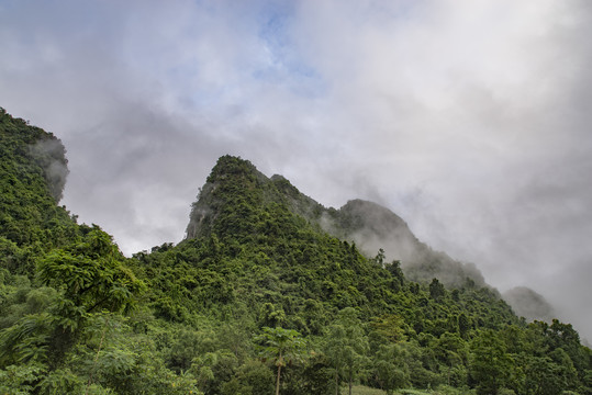 山