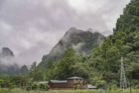 山