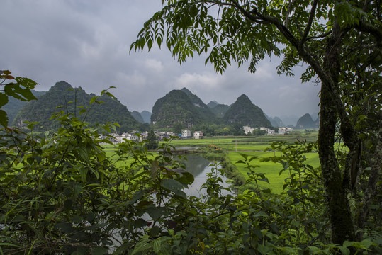 风景