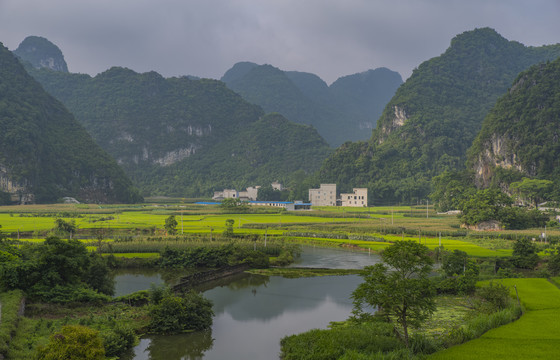 风景