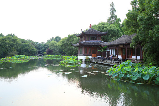 曲院风荷景区