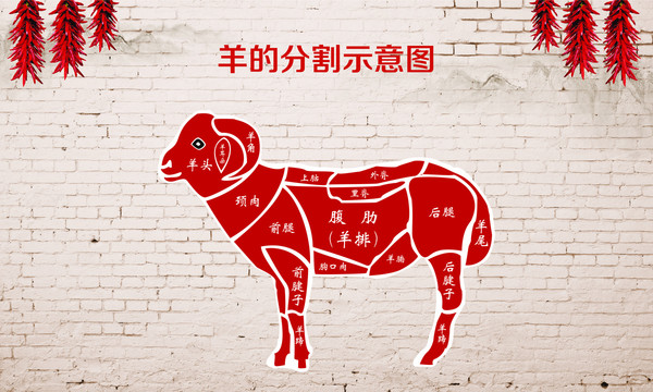 羊肉分割图