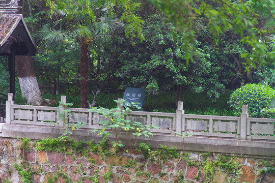江苏常州新城城壕遗址致远桥