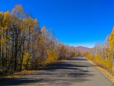 秋季伸向远方的公路
