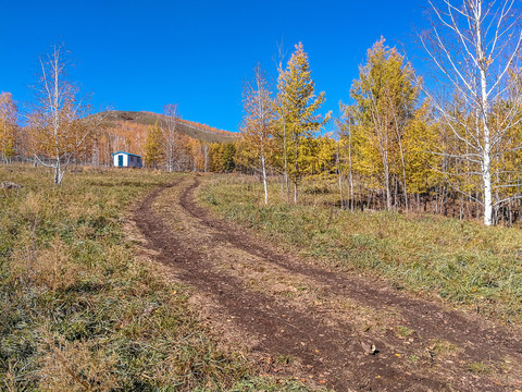 山野森林小路